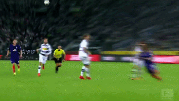 家队的纪录 家队的纪录