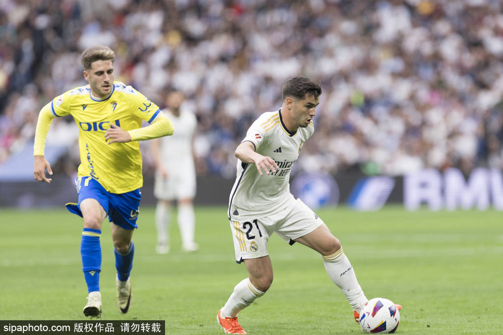 新东家建立 新东家建立