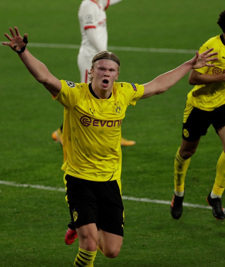 已经决定加 已经决定加