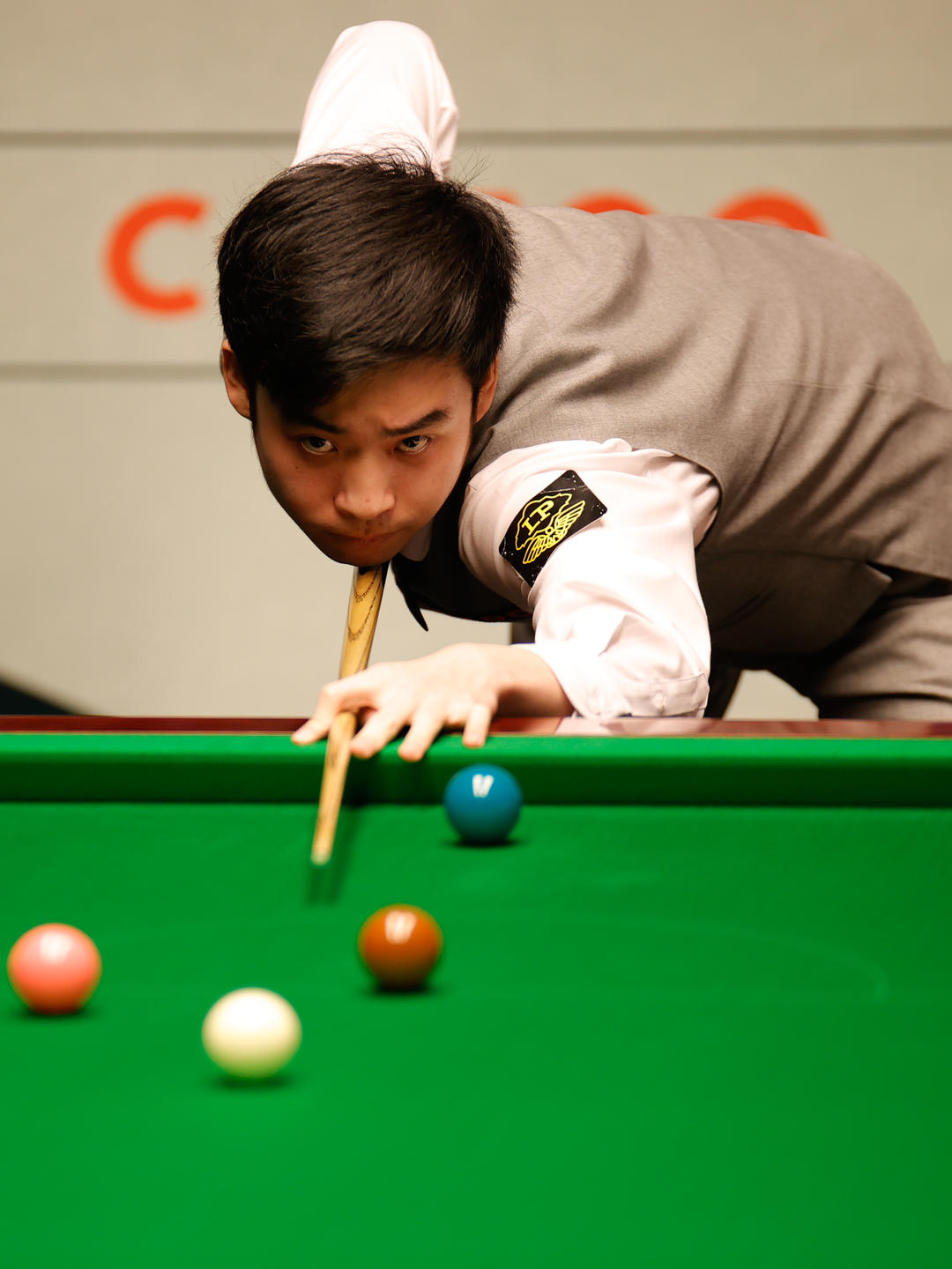 伴随着飘扬 伴随着飘扬